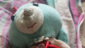 будем Готовіть шарлотку