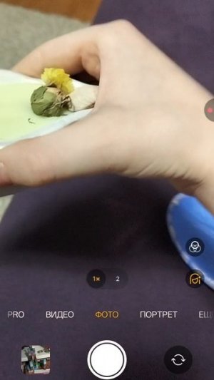 Подарок на 8 марта