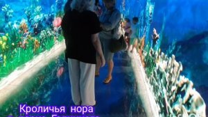 2💞#Настоящая жизнь в Сербии в 2026 году. Место в Краснодаре, где снимали сериал Два Холма. 🇷🇺💓🇷