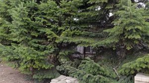 Мы приехали в музей