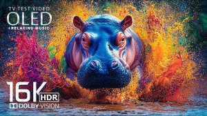 Потрясающий и красочный природный мир