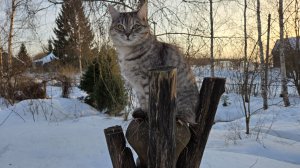 Яркий закат, весенний лёд и подарки для жителей Избушки