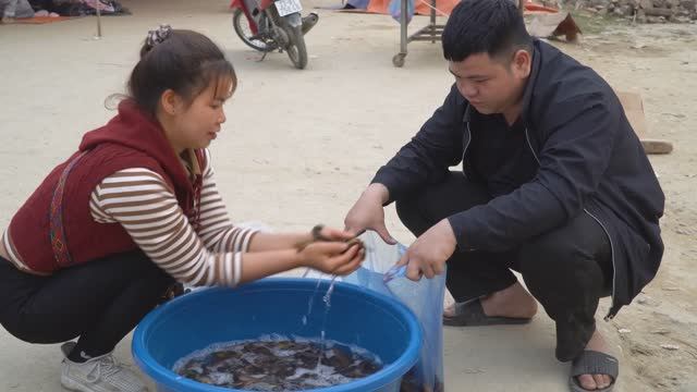 Наловила много угрей в иле пруда. Продадим их на рынке местным жителям.