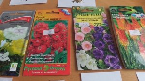 У меня началась посевная.