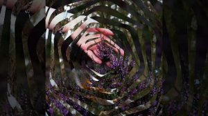 Карелия- сказочный край_cлова Д.Лебедевой_фото А.Маховой.mp4