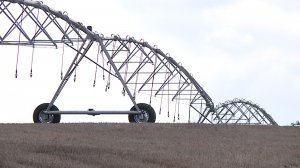 Мелиорация помогает ставропольским аграриям выращивать сельскохозяйственные культуры