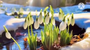 ВЕСЕННИЕ СЮЖЕТЫ. ОТДОХНИТЕ ПОД КРАСИВУЮ МУЗЫКУ АНДРЕЯ ОБИДИНА