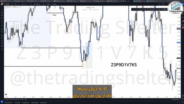 7 Poi Volume 1 Invest10