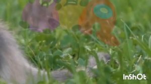 (Побег от Господина) Эволюция полёта раунды от 1-7 (Кто продолжит?)