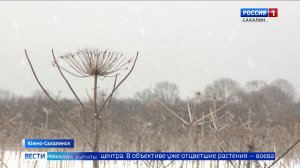 "Вести. Сахалин. Курилы". 3 марта 2026 года