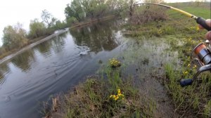 РЫБАЛКА РАННЕЙ ВЕСНОЙ ПО МИКРО РЕЧКАМ (Архив 2021)