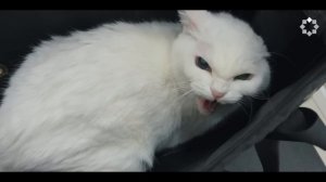 ПО ТУ СТОРОНУ (Барзах) #2 - Кто наблюдает за тобой прямо сейчас | Омар Сулейман