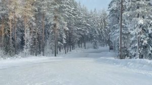 Toyota Yaris Rs 400hp в деле