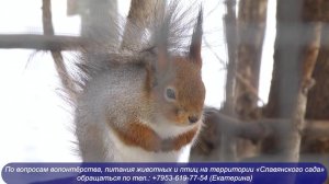 НА ВОЛЬНЫЕ ХЛЕБА