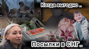 Бургер в лаваше 🌯 Когда Стрим ✔️ Уборка 🧽 Прогулка , уже Весна 🌷Наши будни ✔️Влог