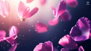 ЧАП ЧАП ЧАП.  СОНГЛИ ГИФТ.