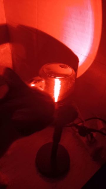 Кошка на свето дискотеке прикол