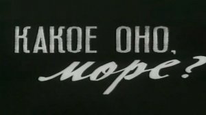 Какое оно, море?  1965