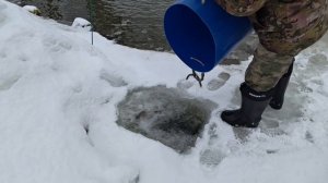 Запуск 05.03.2026 Водопад.