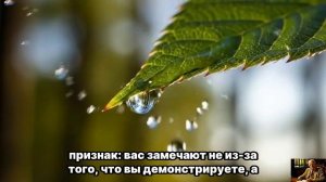 НЕЖНОСТЬ: Разреши себе быть слабой, мягкой и принимать заботу