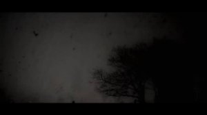 СИРЕНОГОЛОВЫЙ... Страшные истории на ночь 🫣🫣🫣