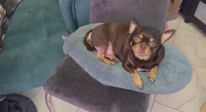 Всем сомой доброй и спокойной ночи.