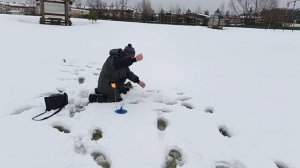 VID_20260305_095850_183