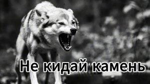 Сколько раз меня пытались переломать...