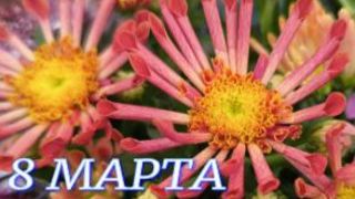 ПОЗДРАЛЕНИЯ с 8 МАРТА для МОИХ ДРУЗЕЙ