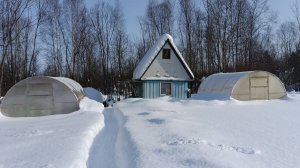 СИРЕНЫ ЗАВЫЛИ ‼️ НАША СОБАКА ТОЖЕ 🔥