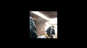 Пришел той дэнь🐖🐖🐖🐖