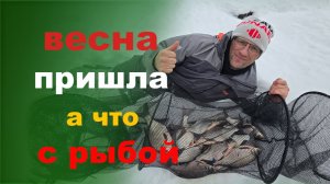 весна пришла рыба просыпается