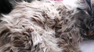 MOV_20260304_165644_786