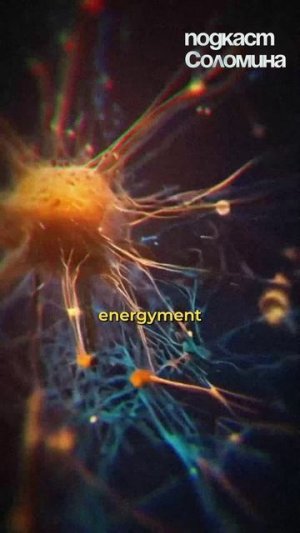 Мы СОЗДАЛИ СВЕРХРАЗУМ! Маргулан Сейсембаев | Полный выпуск на канале "Глеб Соломин" #наука