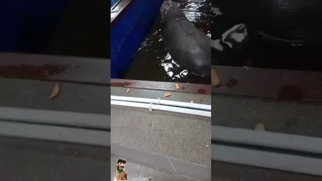 Карагандинский ЗооПАРК -26 !!!