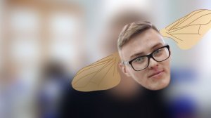 Короче, не прогуливай! Генетика