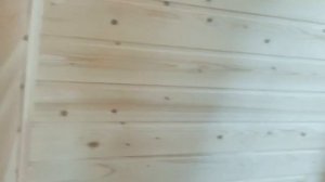 MOV_20260305_123713_377