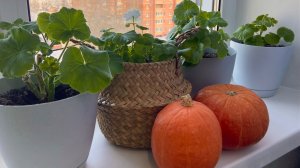 Обзор покупок из Фикс Прайс. Что приготовила на ужин.