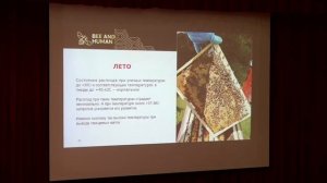 Технология солнечного улья - от клеща Варроа