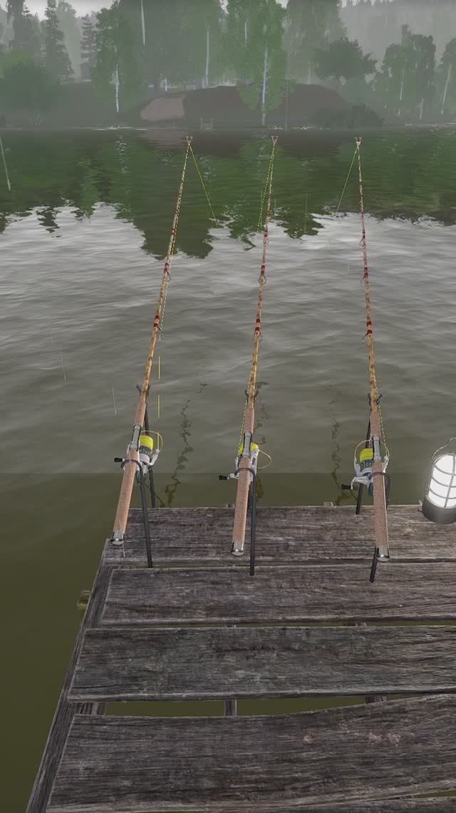 RF4 Комариное кормит лещам #рр4