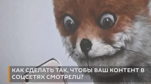 Что нужно делать, чтобы пользователи смотрели ваш контент в соцсетях?