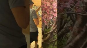 ИРИШКА ГОТОВИТ КУРИЦУ В БАНКЕ В СОБСТВЕННОМ СОКУ