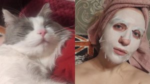 АРХИВ 2023 I синдром отложенной жизни | книга, которая заставит тебя плакать vlog 04-11.04.2023