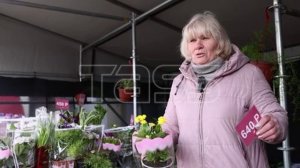 Ярмарка цветов в Луганске