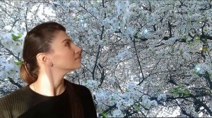 Времена года 3