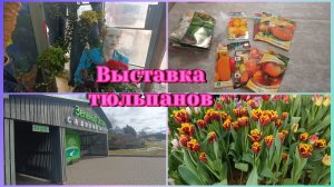 Выставка тюльпанов.Сею томаты.