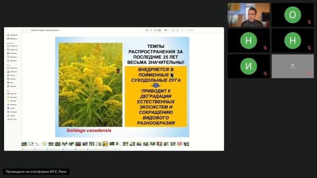 Зелёный каркас города Брянска