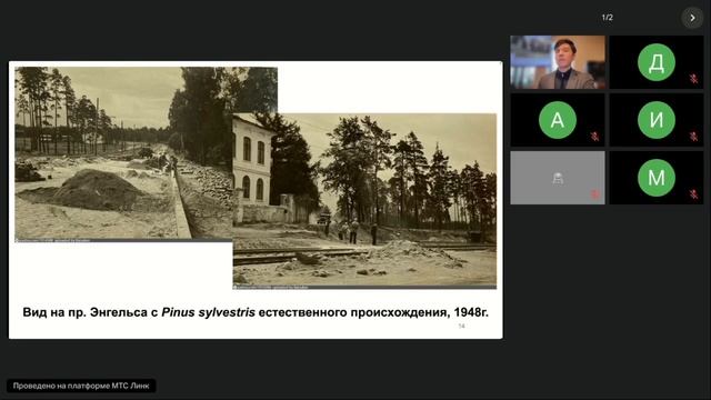 Роль существующих вечнозелёных растений в формирования зелёного каркаса районов Санкт-Петербурга