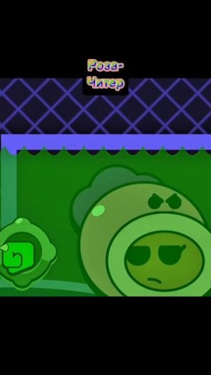 Роза- Читер