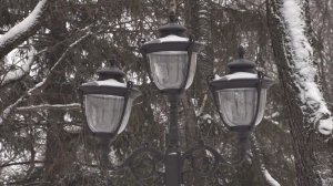 Приём заявок на конкурс социально значимых проектов ТОС объявлен в Вологде